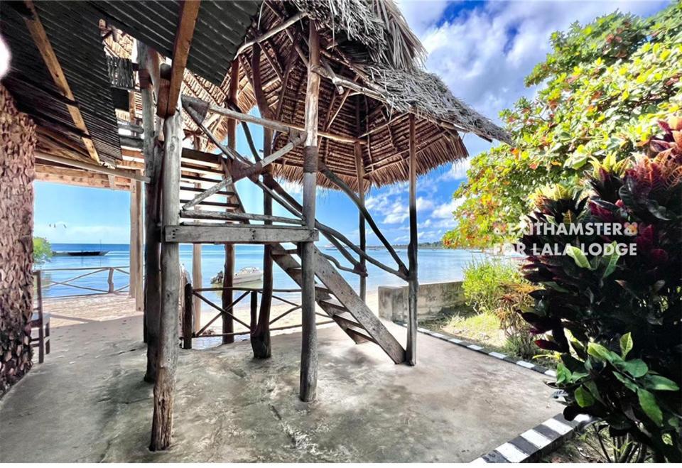 Lala Lodge Pemba Zanzibar Mgini Ngoại thất bức ảnh